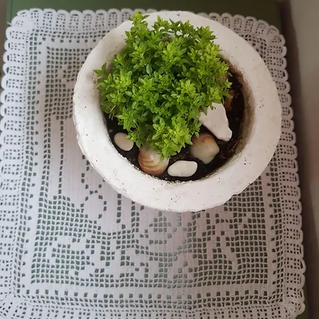 Spiros Family Apts * Laganas