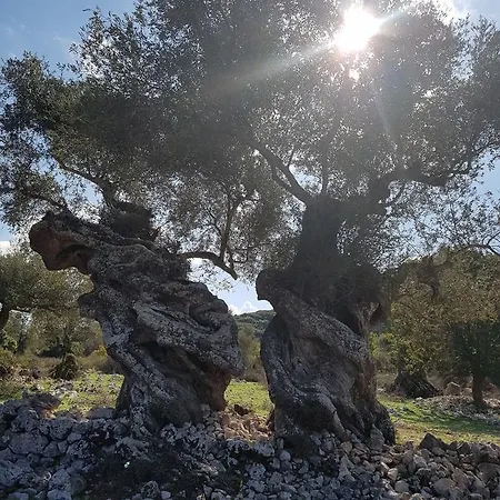 Spiros Family Apts Apartmán Laganas