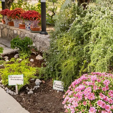 Spiros Family Apts Апартаменты Лаганас