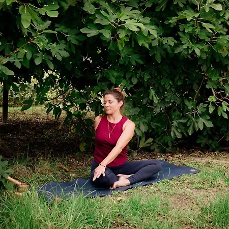 Spiros Family Apts *